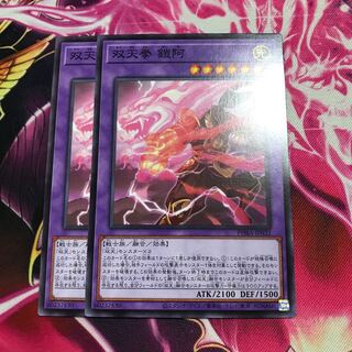 双天拳 鎧阿 ノーマル