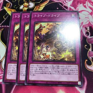 トライブ・ドライブ ノーマル