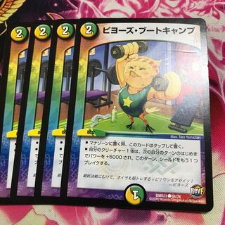 ピヨーズ・ブートキャンプ C