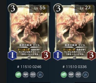 慈悲の救済　エイル　2枚セット