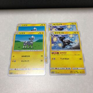 シママ進化セット(ゼブライカ)