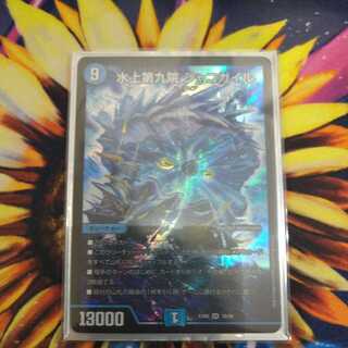 水上第九院 シャコガイル