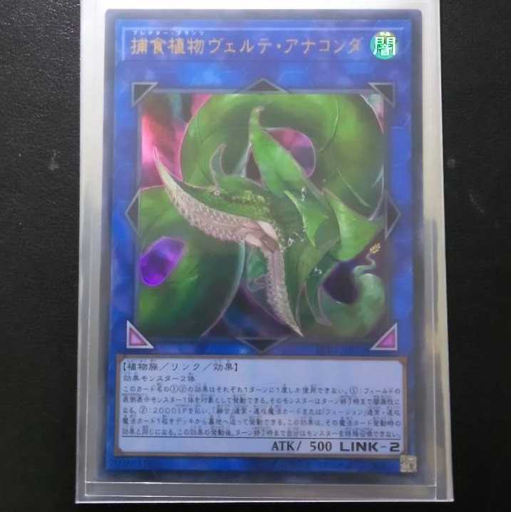 捕食植物ヴェルテ・アナコンダ[ウルトラ1枚]