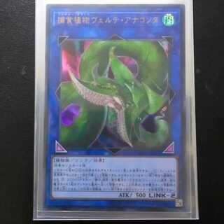 捕食植物ヴェルテ・アナコンダ[ウルトラ1枚]