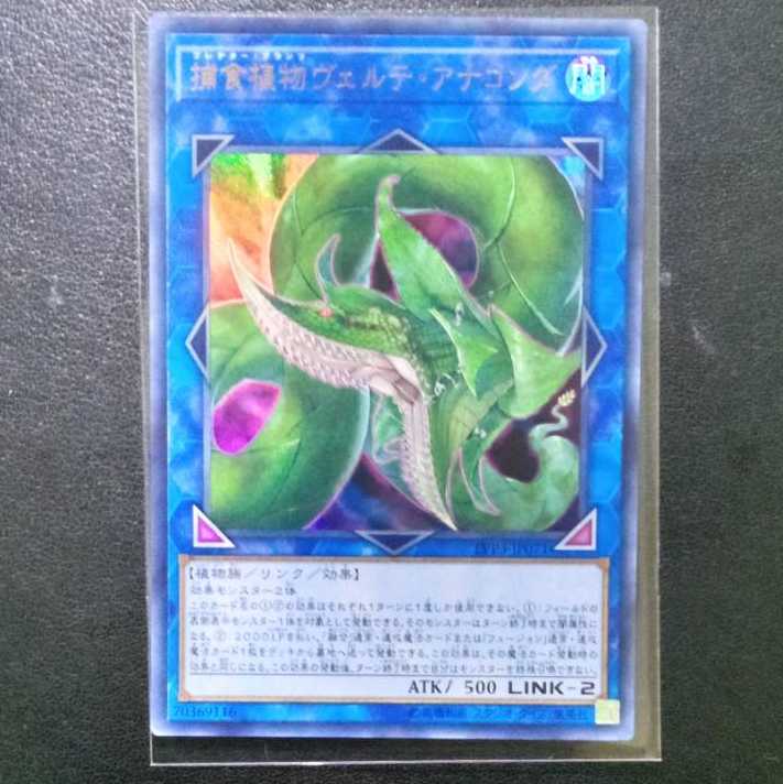 捕食植物ヴェルテ・アナコンダ[ウルトラ1枚]