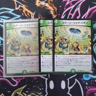 コクーン・シャナバガン