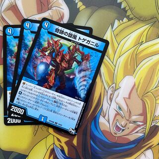 Miraculous Whirlwind Spiny Ganyl