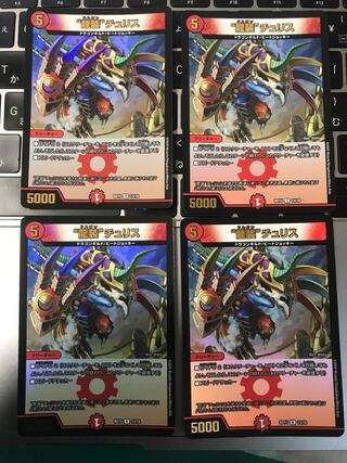 “龍装”チュリス R-foil