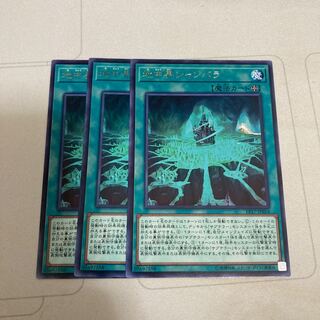 The Hidden City Rare 3pcs Special Price
