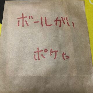 ボールガイ 1枚