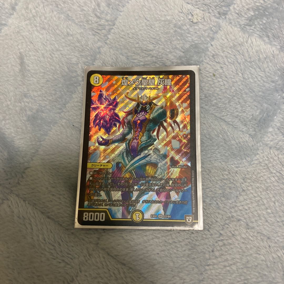 煌メク聖壁 灰瞳