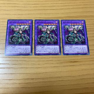 捕食植物ドラゴスタペリア ノーマル　3点セット