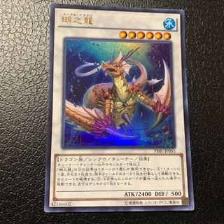 瑚之龍 ウルトラレア