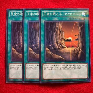 王家の眠る谷-ネクロバレー☆3756