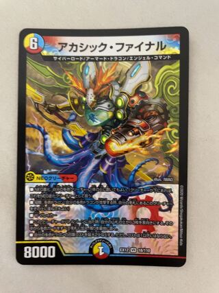 アカシック・ファイナル