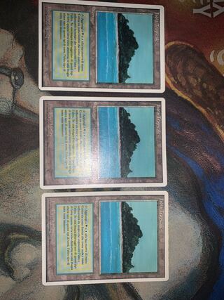 tropical island 伊　3枚