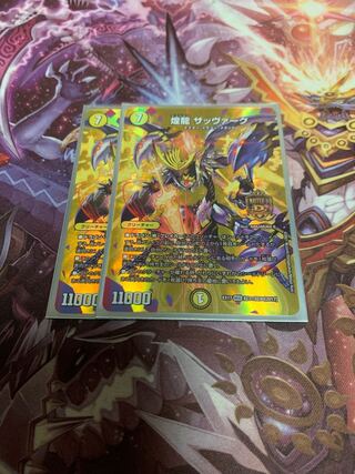 煌龍 サッヴァーク2枚