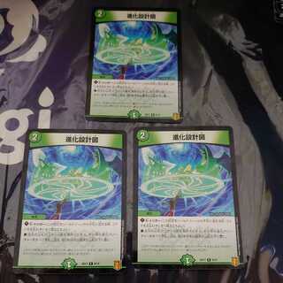 進化設計図 R 3枚セット