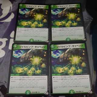 ソイルピンプ・キャベッジ R 4枚セット