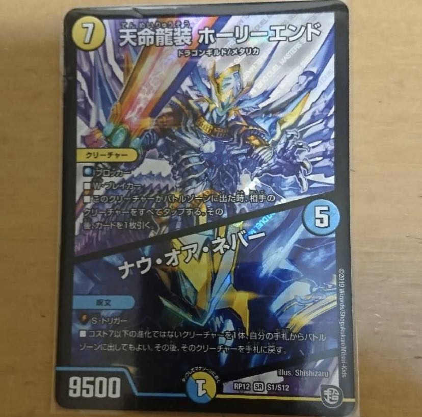 天命龍装ホーリーエンド／ナウオアネバー