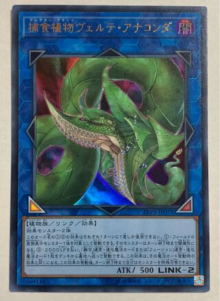 捕食植物ヴェルテ・アナコンダ ウルトラレア