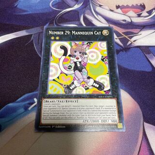 No.29 マネキンキャット　英語版