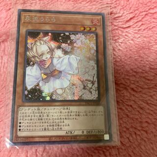 Ash Blossom & Joyous Spring Secret Rare