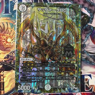 サッヴァークDG シク1