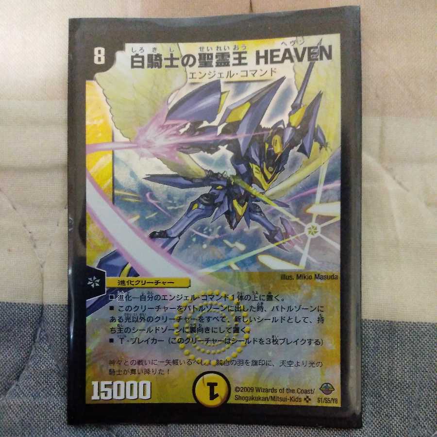 白騎士の聖霊王 HEAVEN