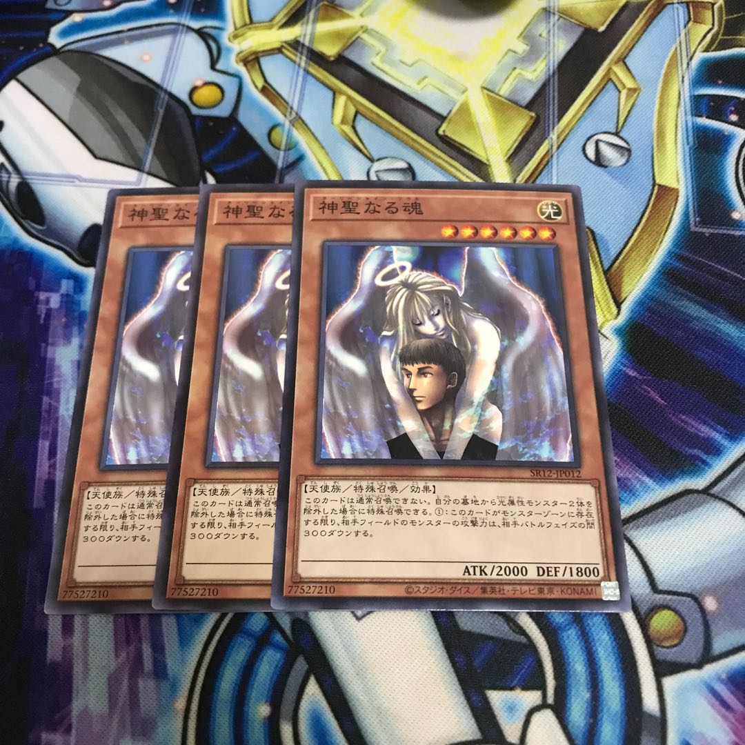 神聖なる魂 ノーマル Hulu 3354