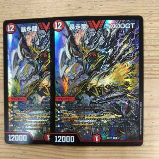 暴走龍 5000GT2枚セット