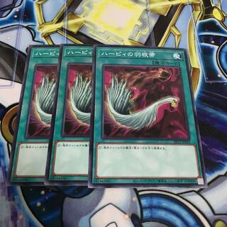 ハーピィの羽根帚 ノーマル　Hulu 3367