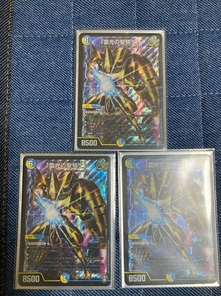 「雷光の聖騎士」 3枚 「絶対の楯騎士」4枚