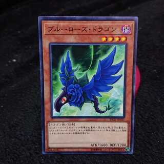 遊戯王 ブルーローズ・ドラゴン DP21-JP031 ノーマル