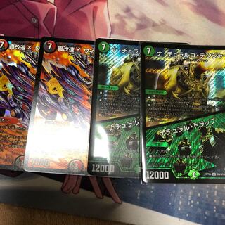 ワイルドマックス＆ナチュラルゴデンジャー