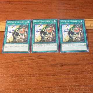 神の写し身との接触 ノーマル 3枚