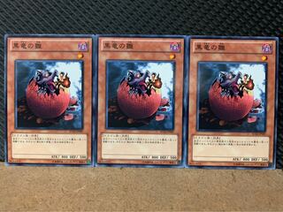 【ぽぽたん】遊戯王 8040 黒竜の雛 3枚 ノーマル