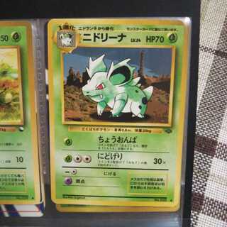 ニドリーナ  旧裏