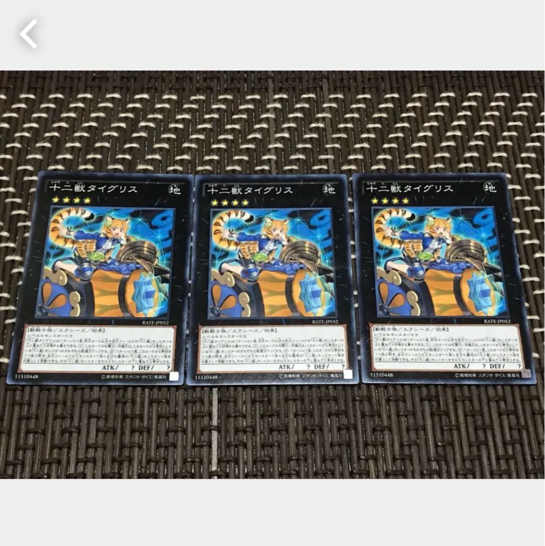 【ぽぽたん】遊戯王 十二獣タイグリス 3枚セット