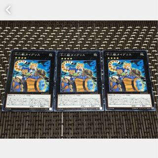 【ぽぽたん】遊戯王 十二獣タイグリス 3枚セット