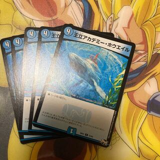 王立アカデミーホウエイル