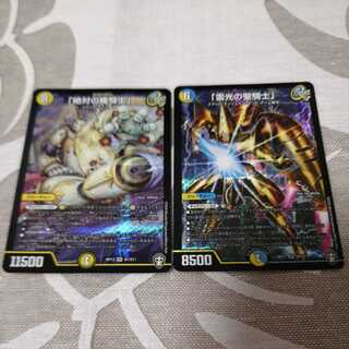 「雷光の聖騎士」「絶対の楯騎士」