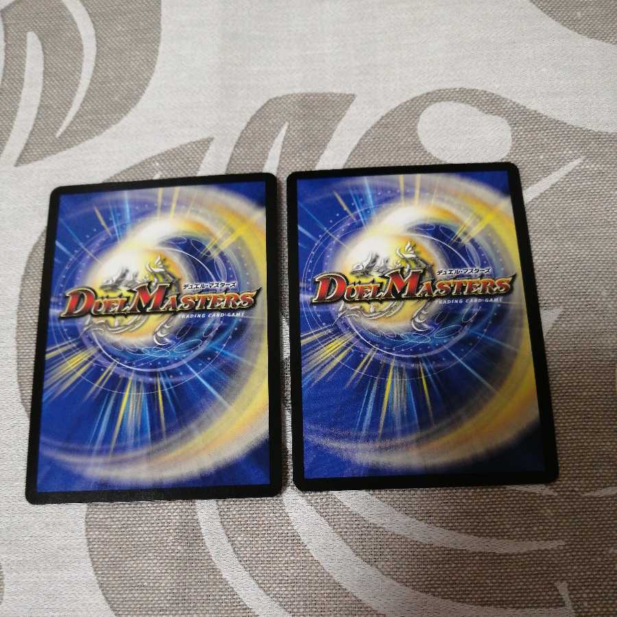 「雷光の聖騎士」「絶対の楯騎士」