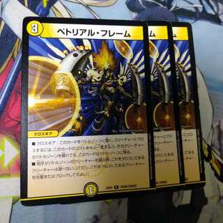 ペトリアル・フレーム　2476