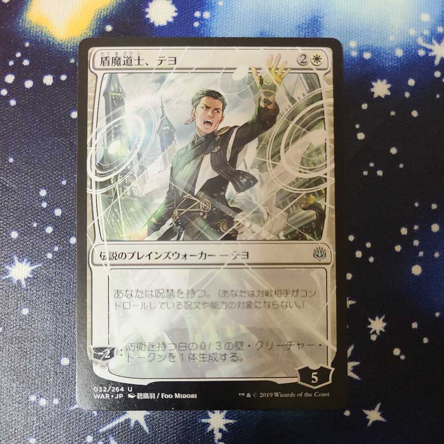 盾魔道士、テヨ