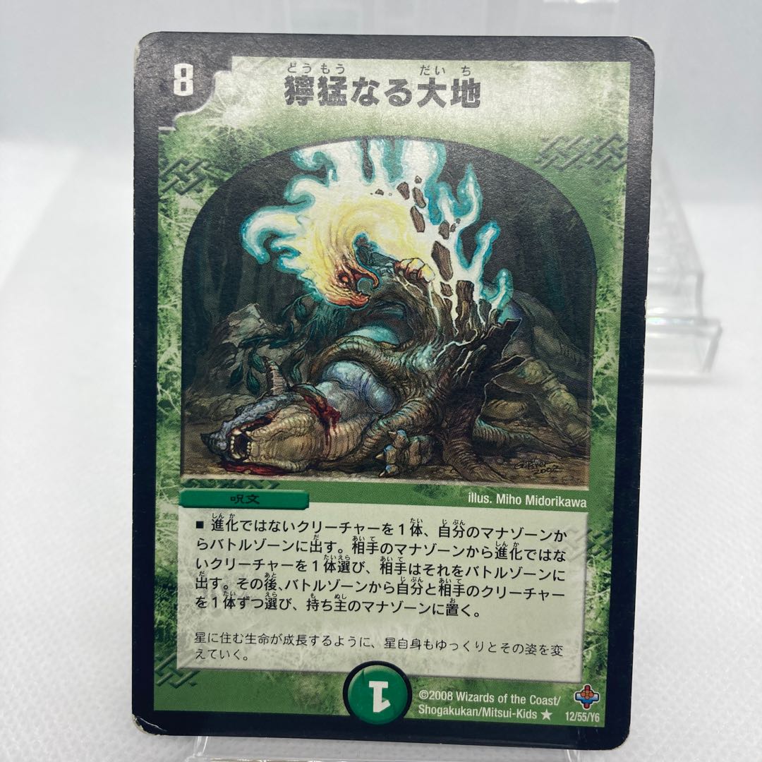 獰猛なる大地 傷