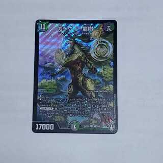 ガンヴィー龍樹