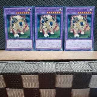 Popotan] Yu-Gi-Oh 453 Amazoness Pet Liger 3-card set