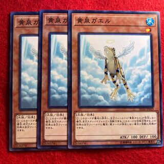 Treeborn Frog☆3839