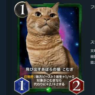 飛び出すあぽろの猫 こむぎ　2枚セット